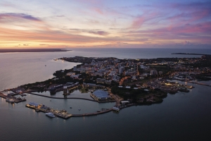 Sense of Darwin