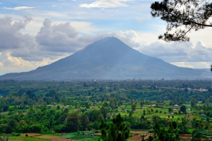 Magic Medan