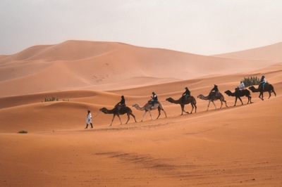 Essence of Egypt