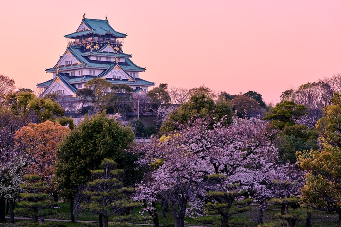 Tokyo Osaka Ultimate Japan Experience